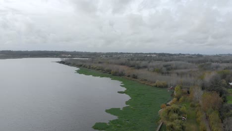 Vista-Aérea-De-La-Orilla-De-Un-Lago-Llena-De-Jacintos-De-Agua