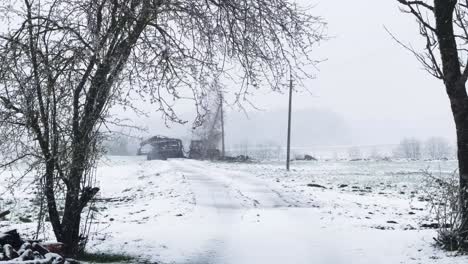 Tractor-Con-Montón-De-Madera-En-El-Remolque-Durante-La-Repentina-Tormenta-De-Nieve-De-Abril,-Letonia