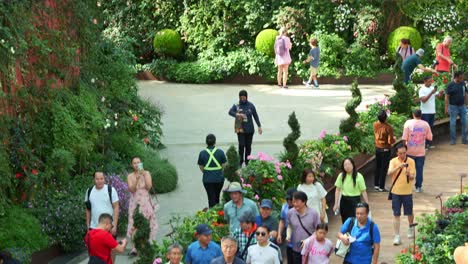 People-visiting-the-Singapore's-popular-tourist-attraction,-world's-largest-glass-greenhouse-known-as-the-Flower-Dome,-nestled-within-the-lush-conservatory-at-Gardens-by-the-Bay,-tilt-up-shot