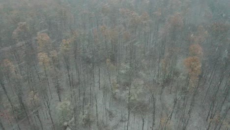 Antena-De-Una-Fuerte-Tormenta-De-Nieve-Sobre-Un-Bosque-Otoñal-Cambiante