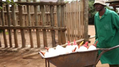 Keepers-at-Sheldrick-Wildlife-Trust-Kenya-taking-milk-to-baby-elephants-at-the-orphanage