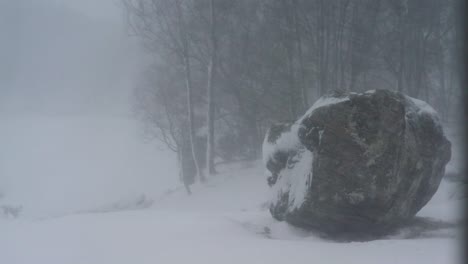 Schneesturm-In-Gülen,-Norwegen