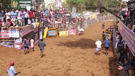 Jallikattu,-Ein-Stierfest-In-Indien