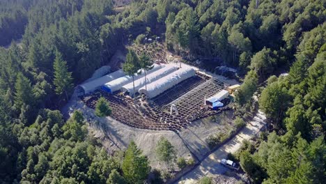 An-aerial-view-of-a-hidden-marijuana-growing-operation