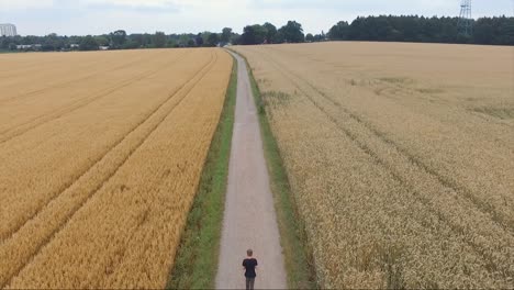 Toma-Aérea-De-Un-Dron-De-Un-Niño-Caminando-En-Un-Campo-De-Grano-Al-Atardecer-Cerca-Del-Bosque-En-Alemania-Con-Trigo-Suave