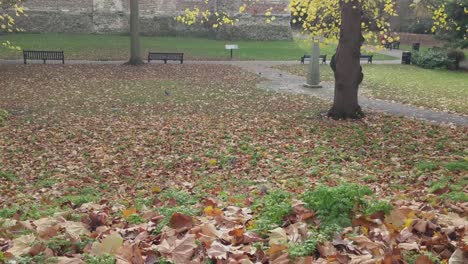 Park-with-castle-in-autumn-squirrels-running-through-leaves-on-grass-and-pigeons-looking-for-food-and-people-walking-in-background-camera-pans-up