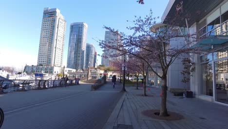 Coal-Harbour-Spring-Time,-Vancouver-BC-Canada