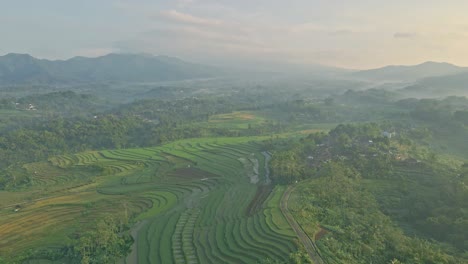 Paisaje-Mágico-De-Indonesia-Con-Campos-De-Arroz-Y-Niebla,-Vista-Aérea