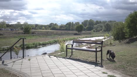 Banco-Junto-Al-Río-En-La-Naturaleza