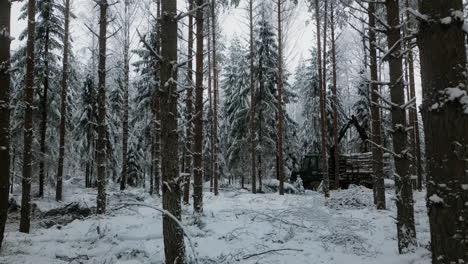 Winterwald-Mit-Schneebedeckten-Bäumen-Und-Schweren-Forstmaschinen-Im-Hintergrund,-Ruhig-Und-Doch-Industriell