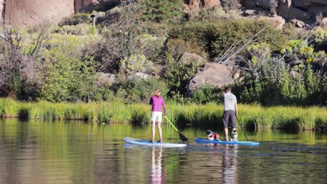 Two-paddle-boarders-going-down-deschutes-river-near-riverbend-park