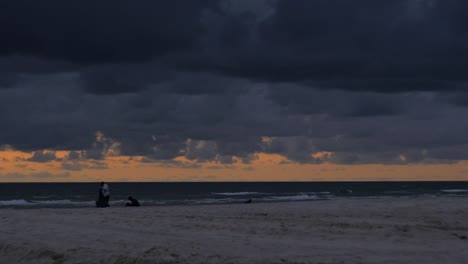 People-gathering-dead-seaweed-on-the-beach-for-gardening,-colorful-sunset,-wide-shot