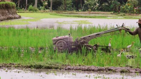 Bodenbearbeitung-Im-Reisfeld-Balis