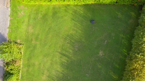 Robotic-lawn-mower-working-cutting-green-grass.-TIMELAPSE