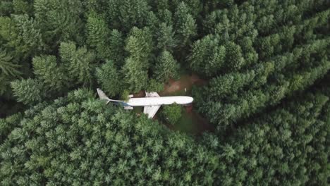 Boeing-Aircraft-Airplane-Converted-to-Unique-Hidden-Home-in-Evergreen-Forest-in-Oregon-USA,-Birds-Eye-Aerial