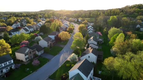 Aerial-view-of-a-suburban-neighborhood-at-sunset,-showcasing-houses-with-lush,-colorful-spring-foliage-and-winding-roads