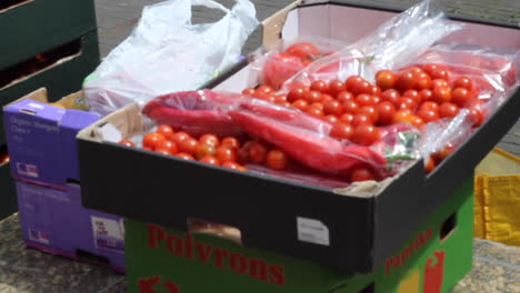 Primer-Plano-De-Una-Exhibición-De-Verduras-Frescas-En-Una-Protesta-Contra-El-Uso-De-Transgénicos-En-La-Industria-Alimentaria