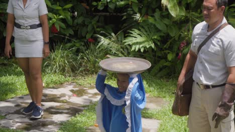 Brahminenweih-Präsentation-Während-Einer-Vogelschau-Im-Bali-Bird-Park