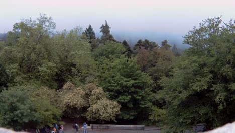 Timelapse-of-trees-and-clouds-near-Sintra-Palace-in-Portugal