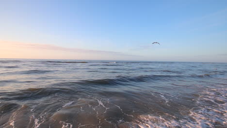 Wellen-Brechen-Am-Strand,-Während-Möwen-über-Das-Meer-Fliegen