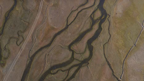 River-meandering-in-Altai-Mountains,-western-Mongolia,-aerial-tilt-up-reveal