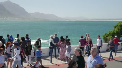 La-Multitud-Observa-Cómo-Las-Ballenas-Rompen-Frente-A-Ellos-En-La-Bahía,-Hermanus,-Sudáfrica