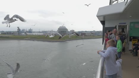 Feeding-Seagulls-on-a-Ferry-in-the-summer