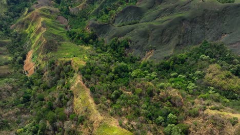 Paisaje-Verde-Y-Montañas-De-Filipinas-Y-Plantas-Verdes-Durante-El-Día-Soleado