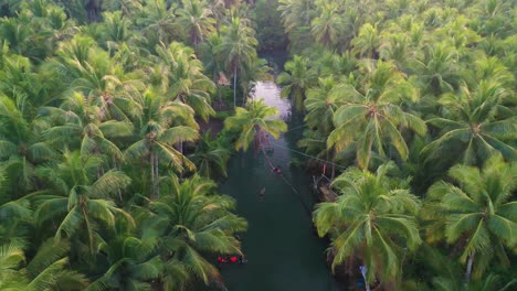 Static-Aerial-View-of-People-Having-Fun-in-Tropical-Palm-Tree-Forest-Swinging-Over-Water-on-Rope-Attached-to-Bent-Tree,-Siargao-Island,-Philippines
