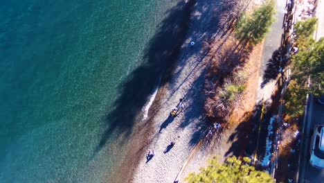 Una-Vista-Cinematográfica-De-Un-Lago-Con-Agua-Clara-Y-Transparente-Junto-Con-Un-árbol-Verde-Tomada-Por-Un-Dron-En-El-Lago-Tahoe