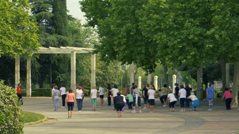 Eine-Große-Gruppe-Von-Menschen,-Hauptsächlich-Frauen,-Die-In-Einem-Park-Kniebeugen-Machen