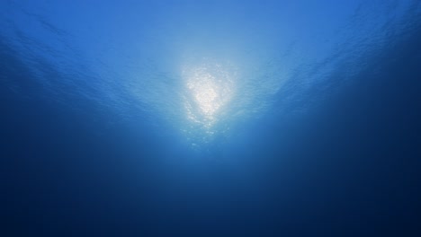 sun-shines-through-the-oceans-surface-in-clear-blue-tropical-water