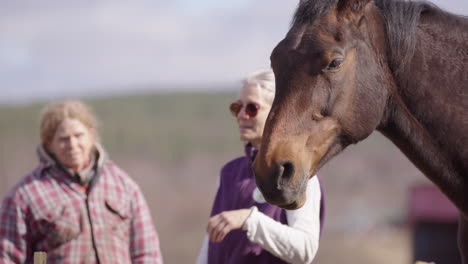 Trained-facilitator-advises-participants-during-horse-therapy-workshop