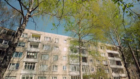 Bloques-De-Apartamentos-De-Europa-Del-Este-Durante-La-Primavera-Con-Abedul-Verde-Y-Luz-Solar