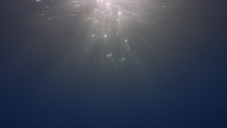 Golden-evening-sun-shines-through-the-oceans-surface-in-clear-blue-tropical-water