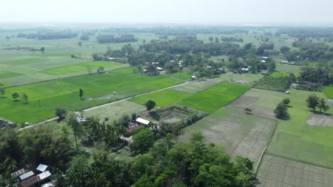 Drone-view-shot-of-asian-largest-river-island-majuli-Island