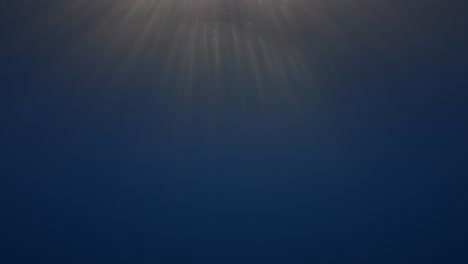 Golden-evening-sun-shines-through-the-oceans-surface-in-clear-blue-tropical-water