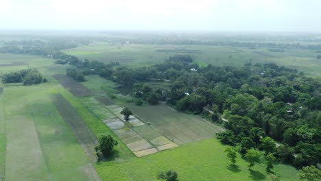 Toma-De-Vista-De-Drone-De-La-Isla-Fluvial-Más-Grande-De-Asia,-La-Isla-Majuli