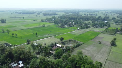 Drone-view-shot-of-asian-largest-river-island-majuli-Island