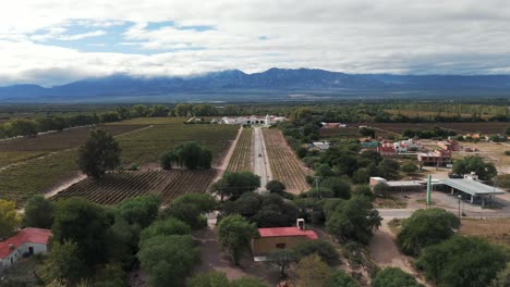 Bird's-eye-view-of-the-renowned-winery-'El-Esteco'-in-Cafayate,-Salta,-Argentina