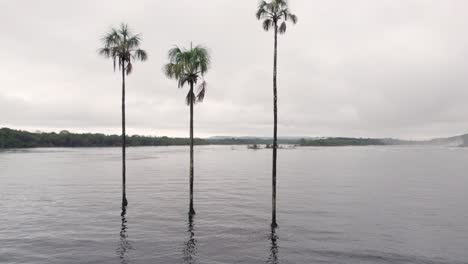 Luftbildvideo-Der-Lagune-Von-Canaima-Im-Bundesstaat-Bolivar,-Venezuela,-Flug-Durch-Moriche-Palmen