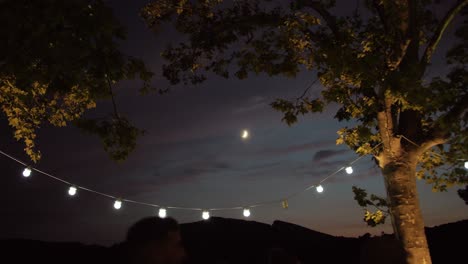 Statische-Aufnahme-Von-Lichterketten,-Die-Abends-Bei-Einer-Hochzeit-Zwischen-Bäumen-Hängen