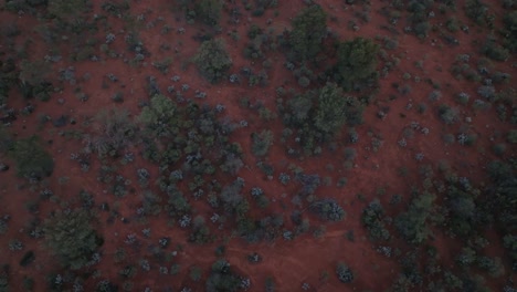 Tilting-drone-clip-showing-wide-expanse-of-unique-Australian-outback-habitat