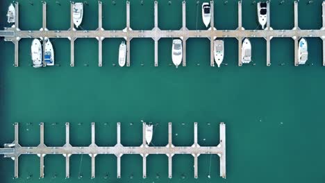 Boats-Docked-In-Port-Washington-Marina-With-White-Birds-Flying-Overhead