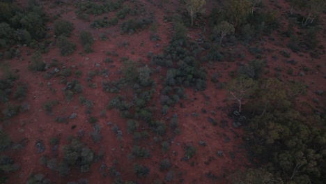 Clip-De-Drone-Inclinado-Hacia-Arriba-Que-Muestra-El-Remoto-Interior-De-Australia-Occidental-Extendido-Hasta-El-Horizonte.