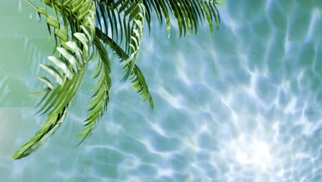 Pflanze,-Baum,-Tropische-Natur-Auf-Flüssigem-Hintergrund-Mit-Licht,-Das-Von-Der-Wasseroberfläche-Des-Ozeans-Kommt