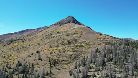 Towering-Mountain-Covered-in-Dense-Forest