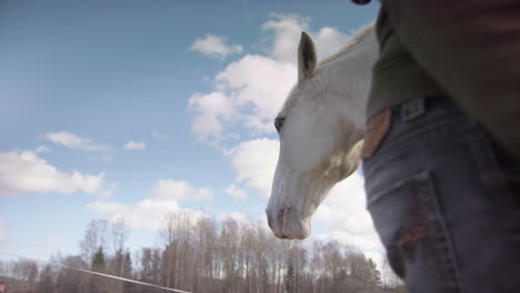 Woman-interacts-with-white-horse-during-equine-assisted-wellness-workshop