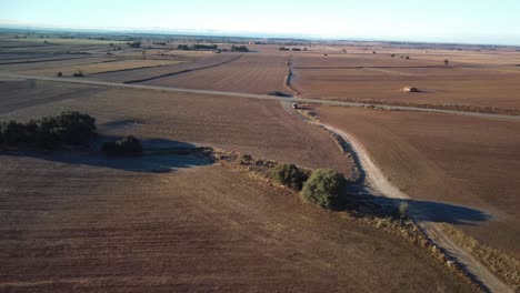 Vast-golden-fields-in-lleida,-catalonia-with-a-small-road-winding-through,-shot-at-sunset,-aerial-view