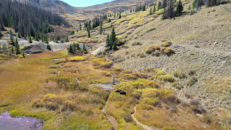 Vista-Aérea-Del-Río-Y-La-Montaña-Cerca-De-Silverton,-Colorado.